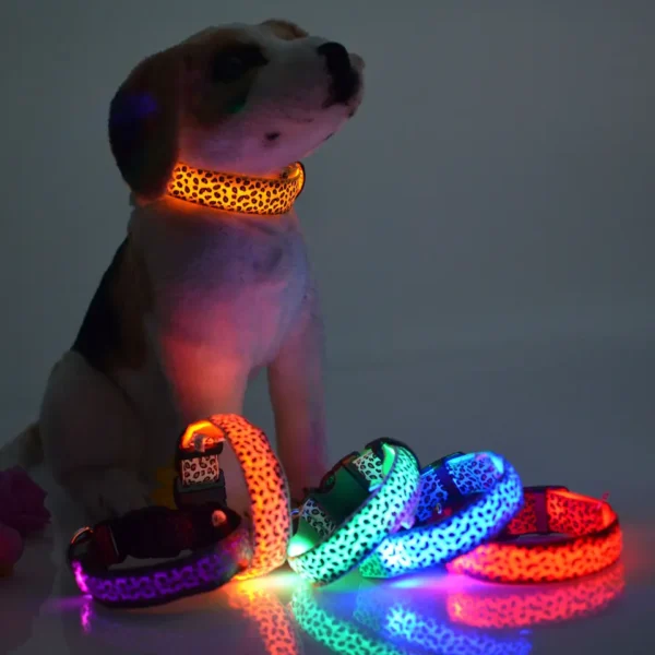 LED Dog Pets Collars USB Rechargeable with Design Glowing collar - Image 2