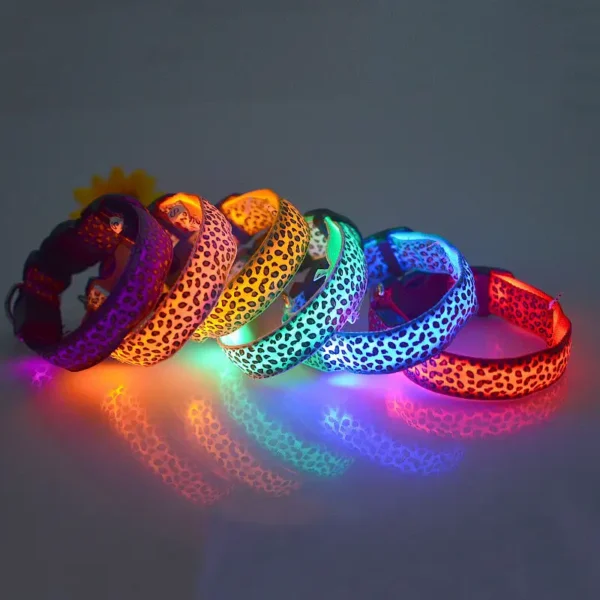 LED Dog Pets Collars USB Rechargeable with Design Glowing collar - Image 3